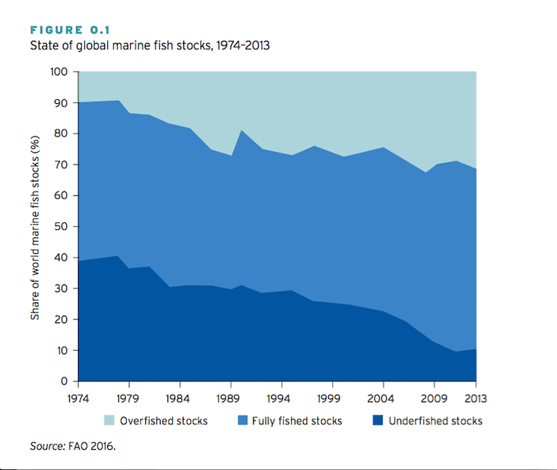 State of global marine fish stocks, 1974–2013.
Courtesy of World Bank